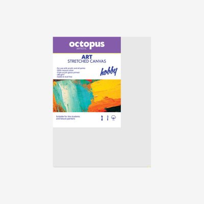 Slikarsko platno 20*30cm