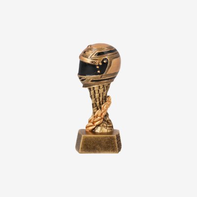 Victory pehar, kaciga